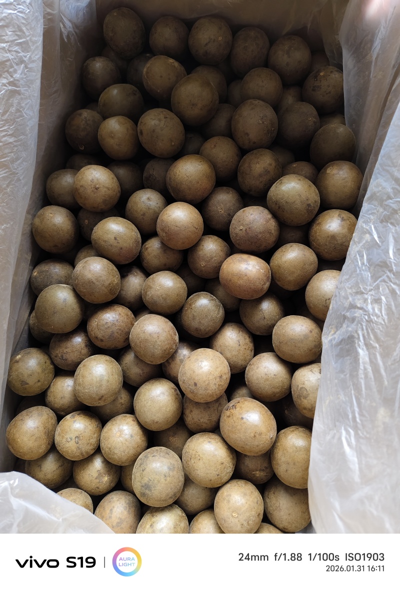桂林罗汉果独立包装