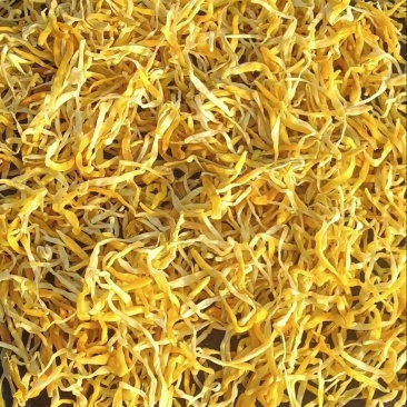 精品祁东黄花菜一手货源全国发货量大价优欢迎随时联系
