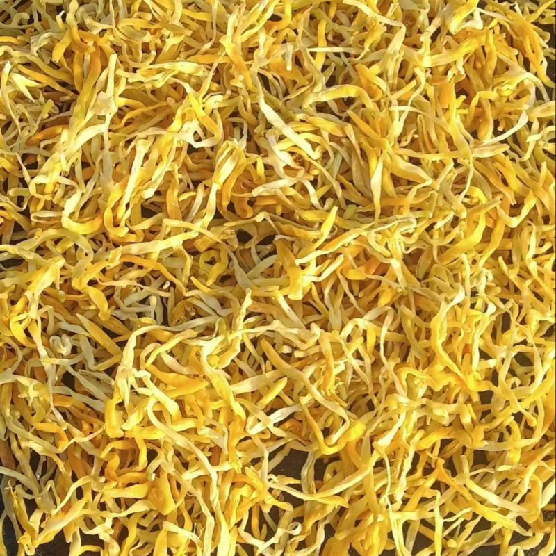 精品祁东黄花菜一手货源全国发货量大价优欢迎随时联系