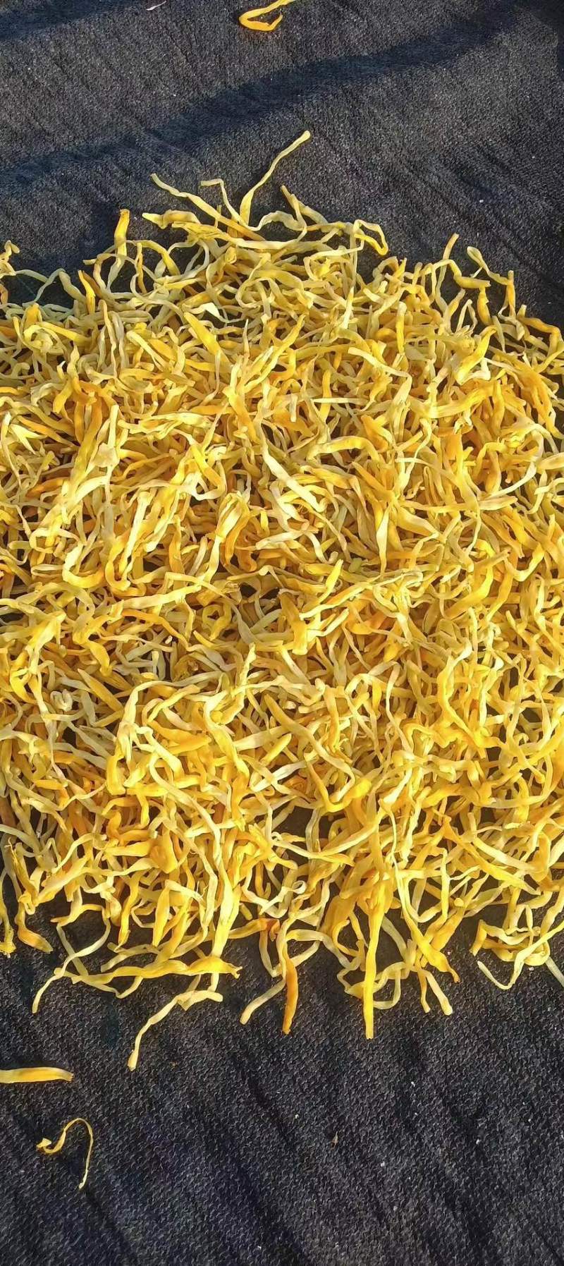 精品祁东黄花菜一手货源全国发货量大价优欢迎随时联系