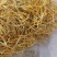 精品祁东黄花菜一手货源全国发货量大价优欢迎随时联系