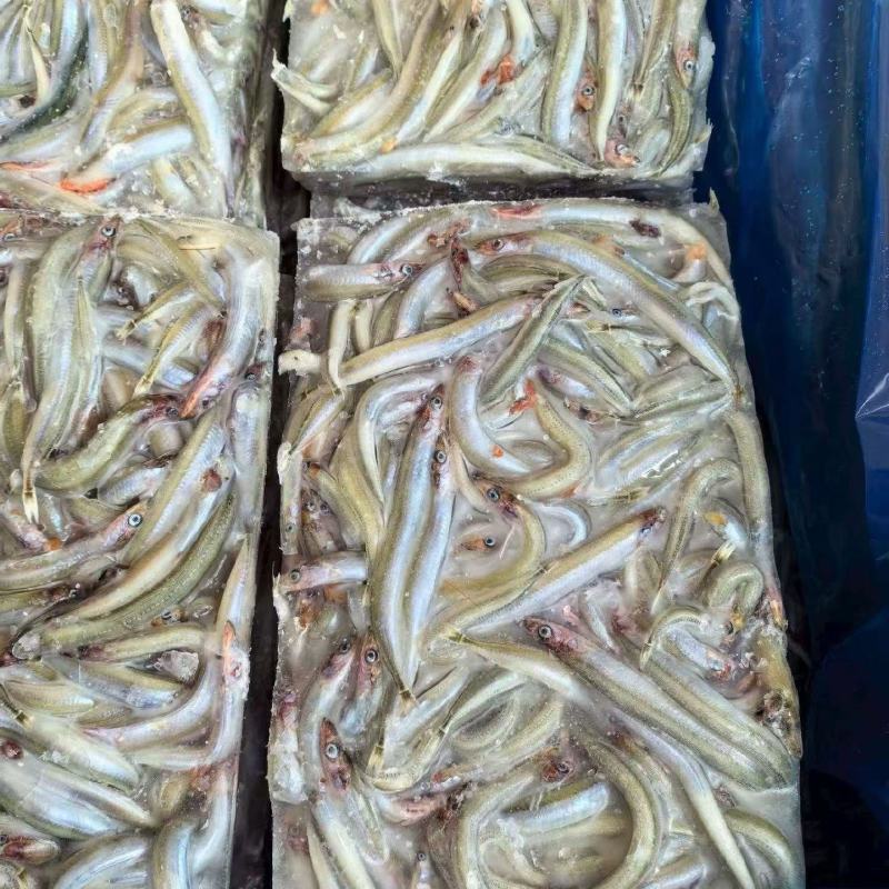 小银鱼，方便快捷支持饭店支持批发零售货源