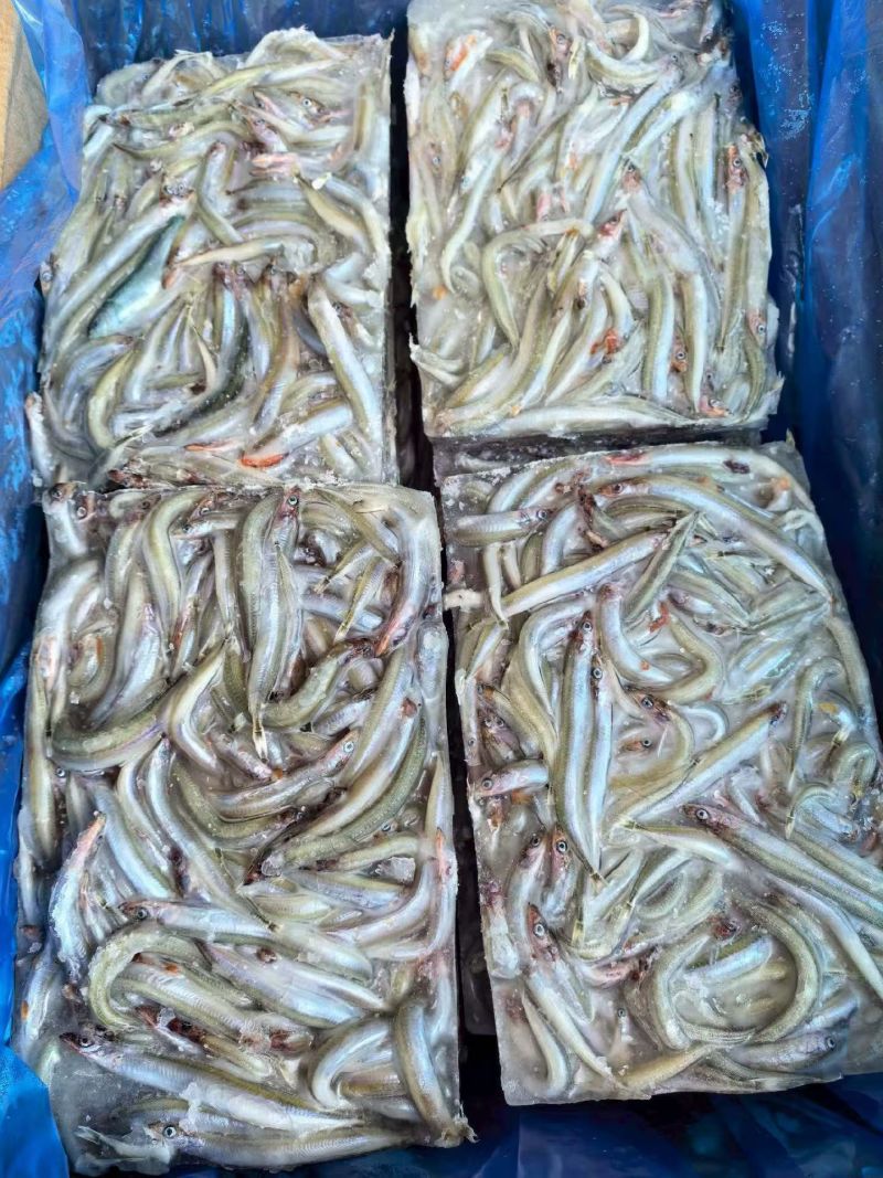 小银鱼，方便快捷支持饭店支持批发零售货源