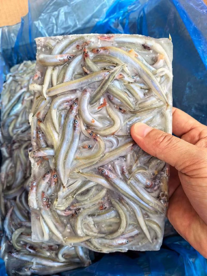 小银鱼，方便快捷支持饭店支持批发零售货源