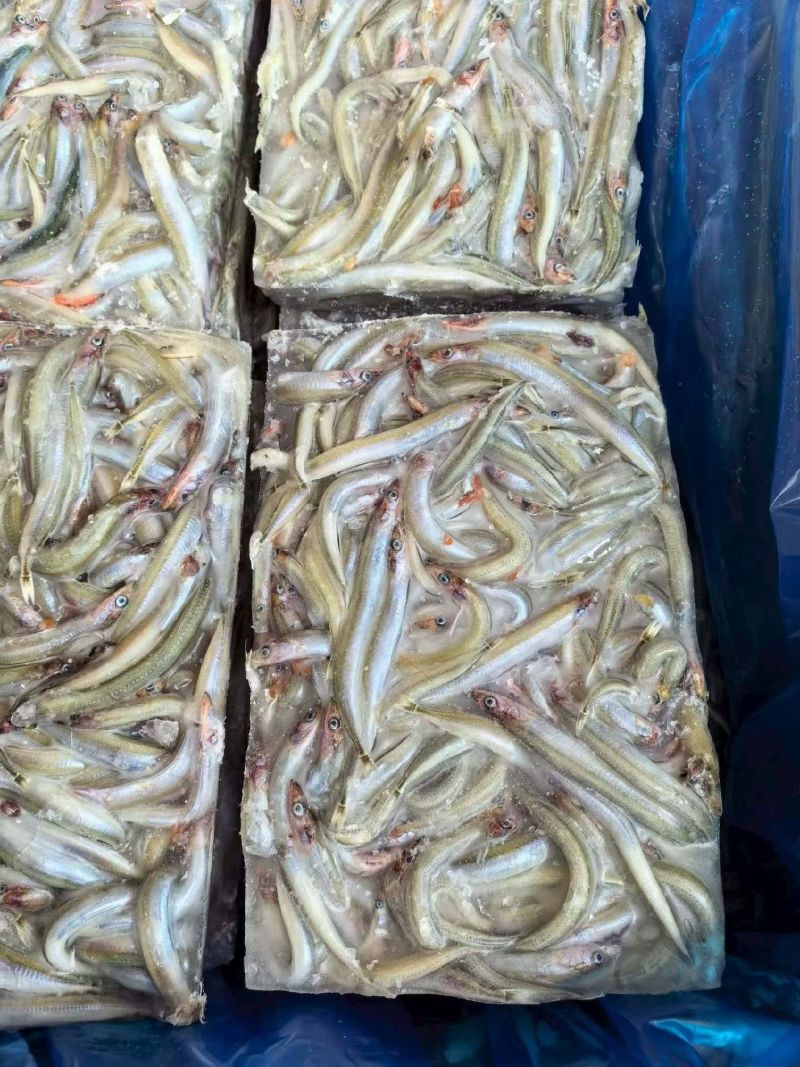 小银鱼，方便快捷支持饭店支持批发零售货源