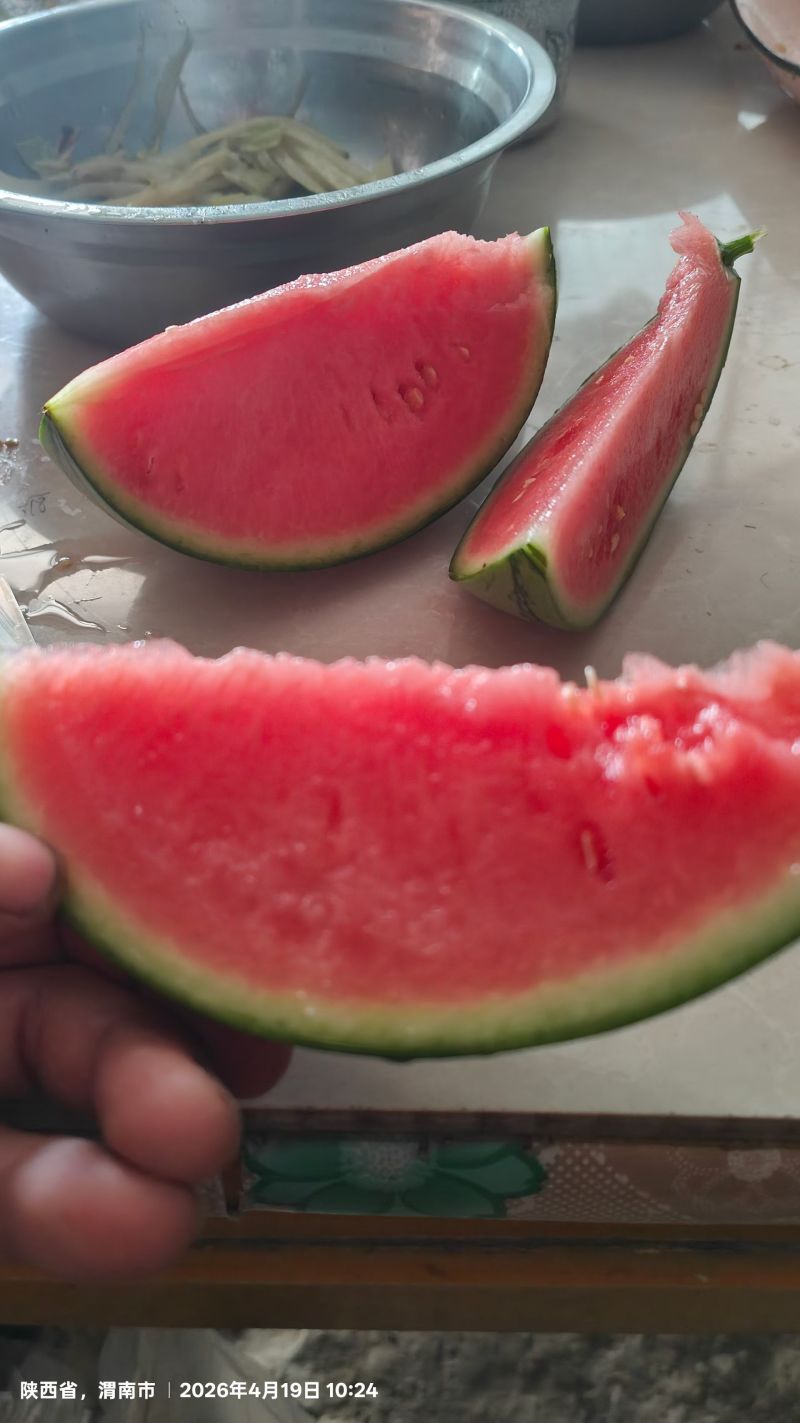 小糖丸