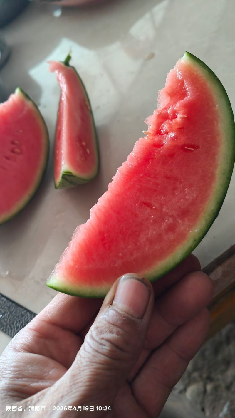 小糖丸