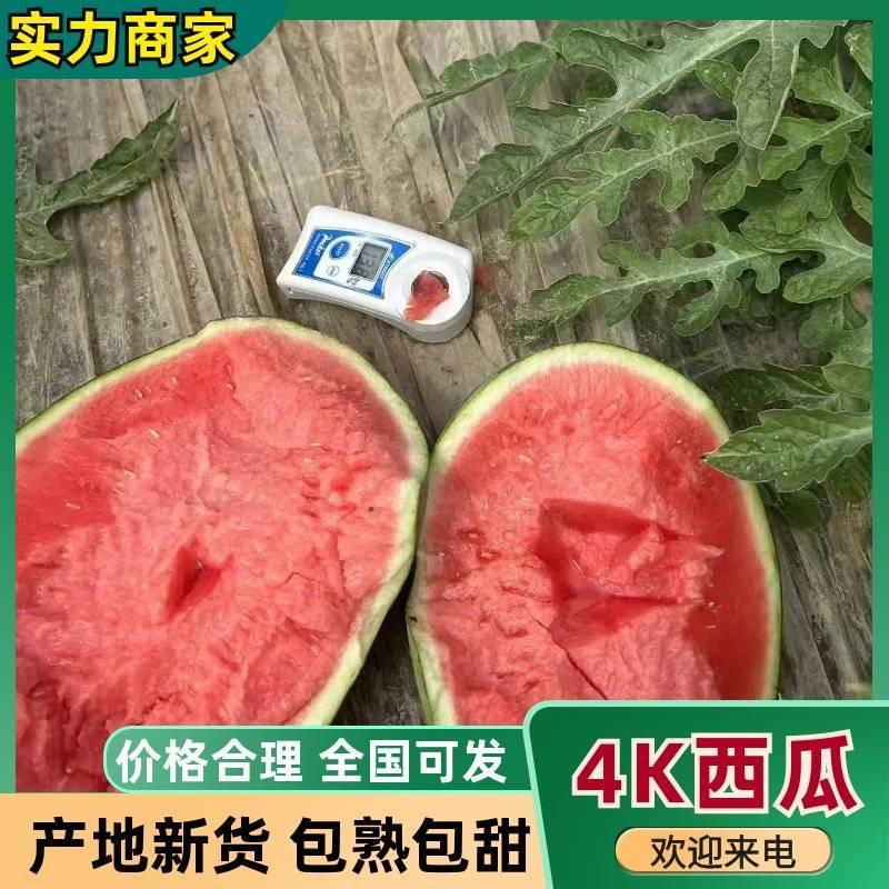 江苏东台西瓜甘美4K西瓜产地直发品质保障/量大从优全国发