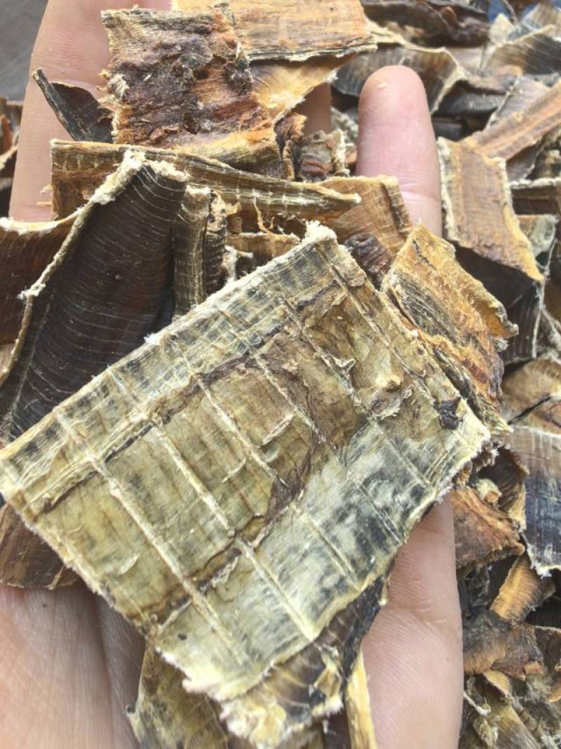 地龙国产全开地龙段品质保证价格优惠