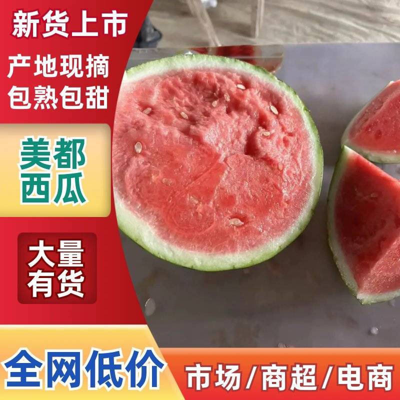 江苏西瓜台农精品美都西瓜.糖度13+质量三包.欢迎来电
