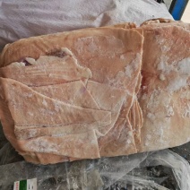 低价出售标猪大皮5吨，3500元每吨出厂，在诸城渤海水产
