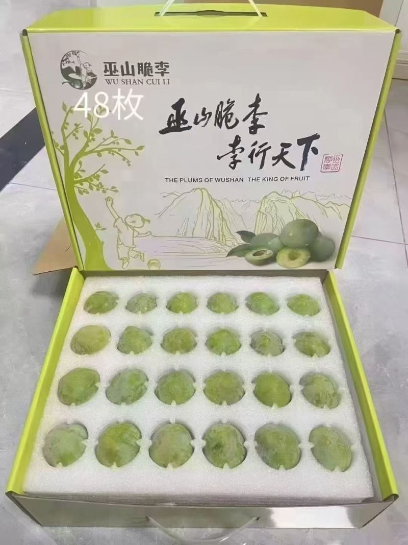 巫山脆李子