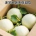 山东玉菇甜瓜，电商一件代发