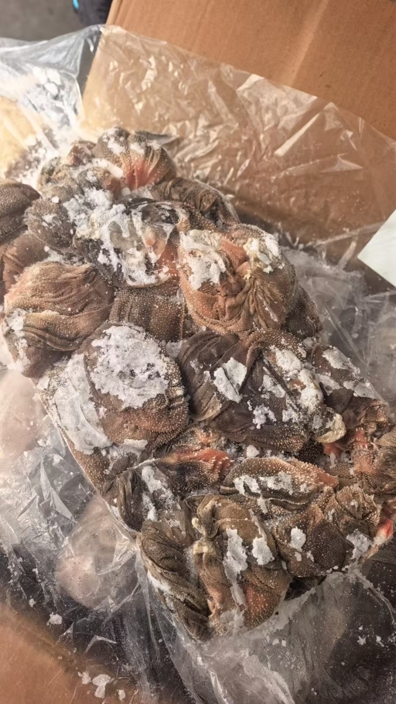 【羊百叶】当地羊百叶！涮锅爆炒凉拌炖煮，口感爽脆味道鲜美
