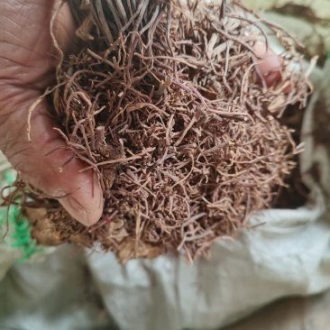 紫苑干货2吨预售