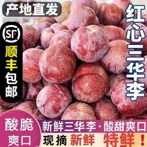 钱排红心三华李代发