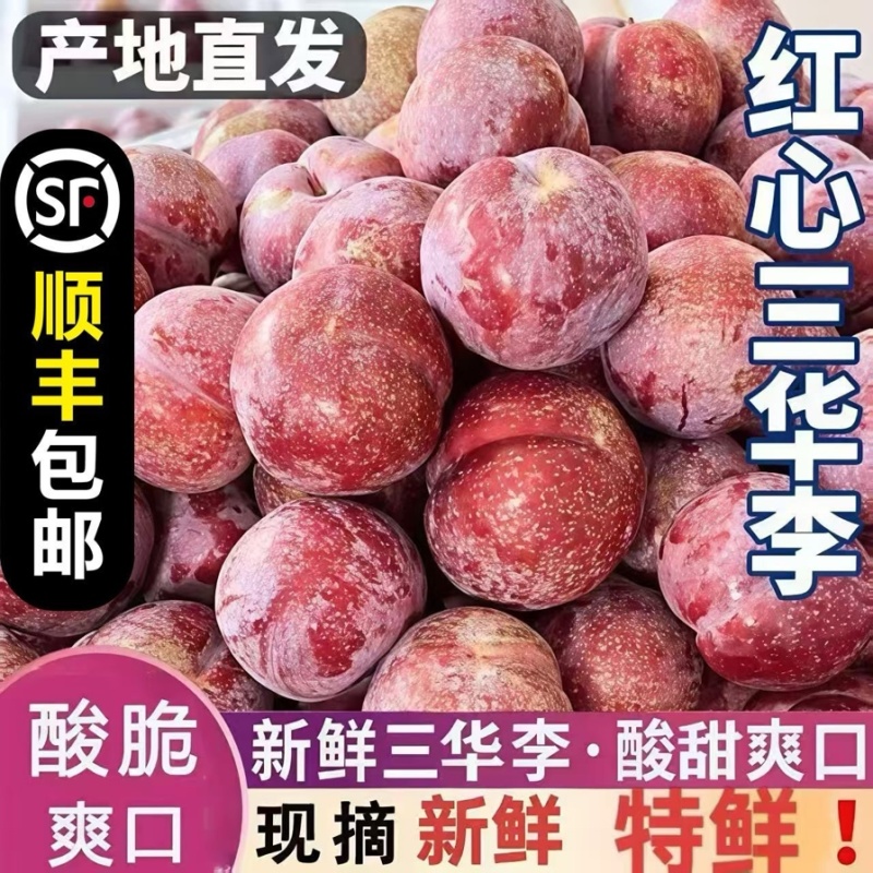钱排红心三华李代发