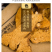 包邮）中药材炒白术片麸炒白术焦白术制白术炙白术片