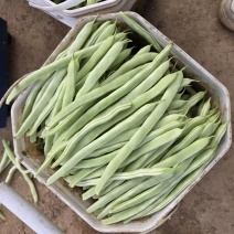 白大架豆角
