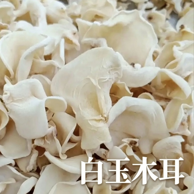 山东济宁鱼台县白玉木耳自家产地直销精品干货一手货源