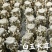 山东济宁鱼台县白玉木耳自家产地直销精品干货一手货源