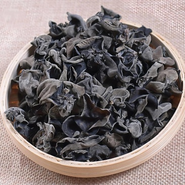 东北黑木耳大量上市全国发货长期供应