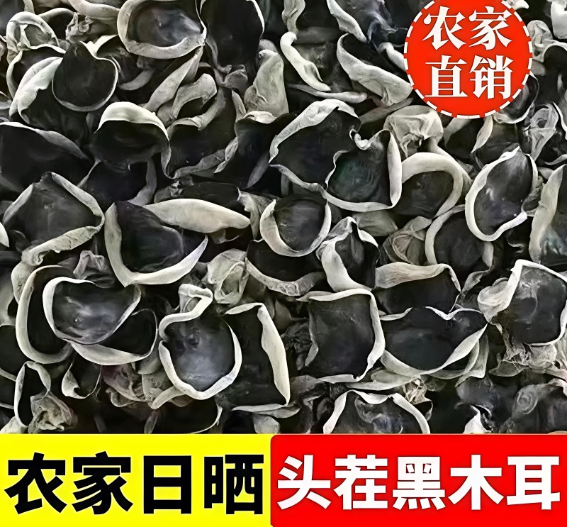 东北黑木耳大量上市全国发货长期供应