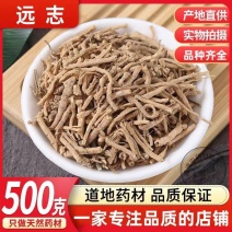 包邮）中药材远志野生远志远志肉远志筒秦岭野生远志