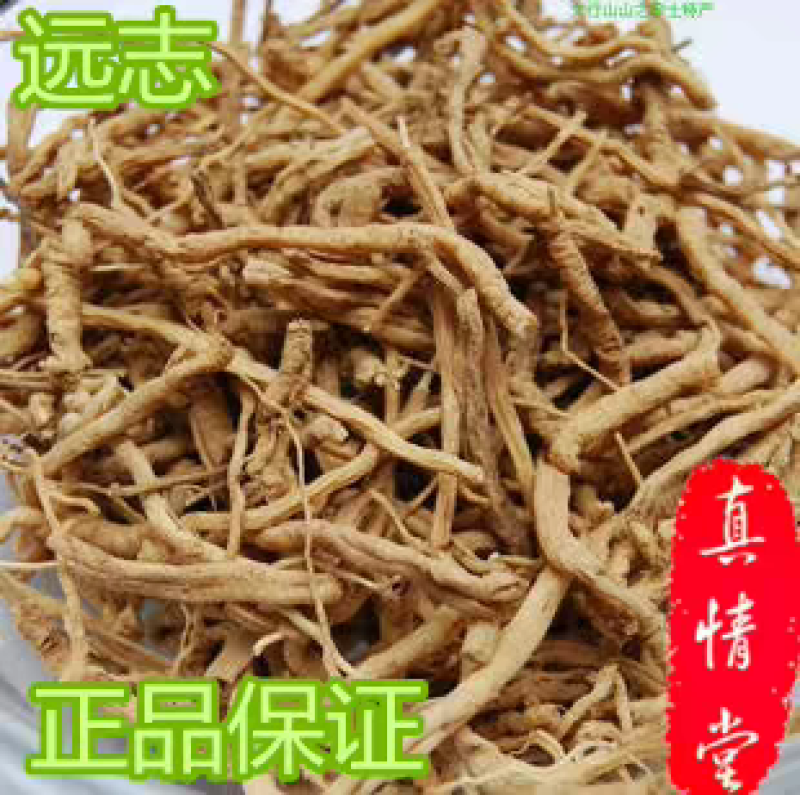 包邮）中药材远志野生远志远志肉远志筒秦岭野生远志
