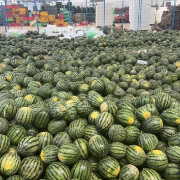 云南麒麟西瓜，甜王