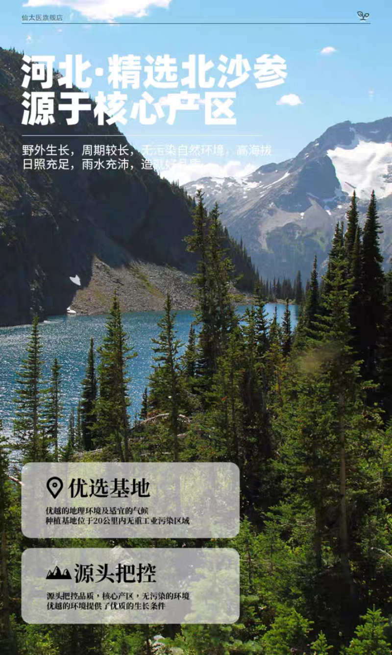 包邮）北沙参中药材500g克野生干节节沙参片北沙参药材