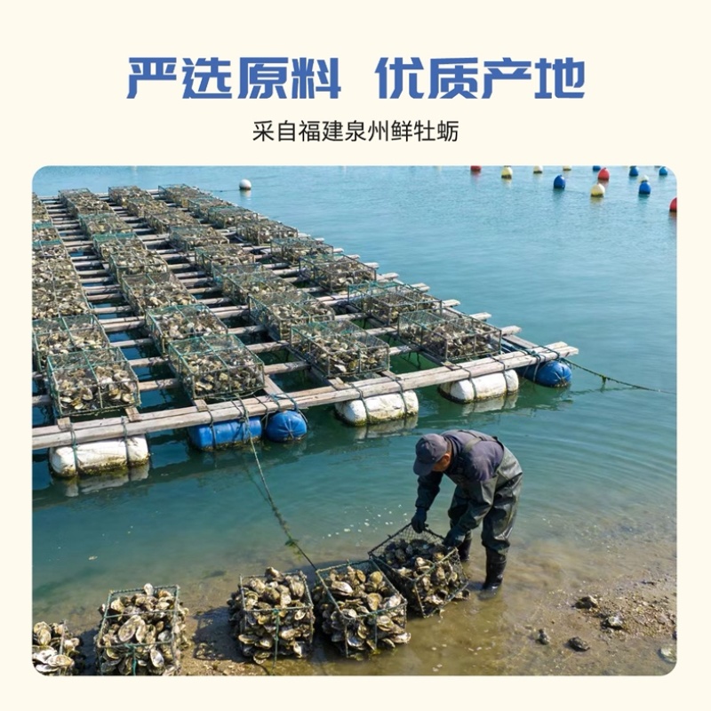 源头工厂直发有机蚝油电商**商超团购私域直播一件代发