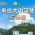 黑猪肉腊肠地标美食电商单品破亿电商全平台一件代发
