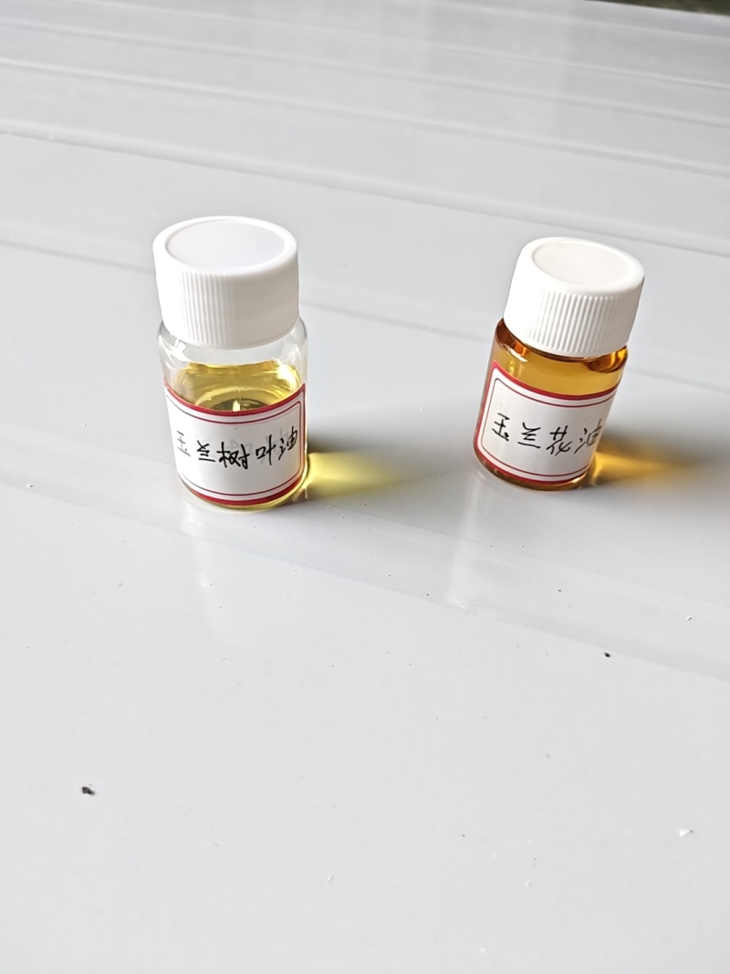白玉兰精油产地货源蒸馏提取初级加工香料批发