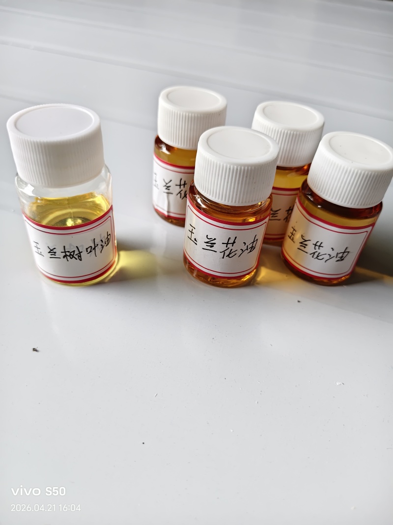 白玉兰精油产地货源蒸馏提取初级加工香料批发