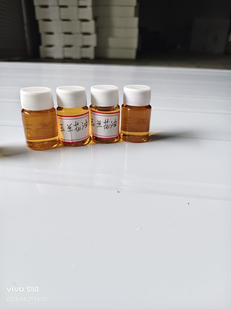 白玉兰精油产地货源蒸馏提取初级加工香料批发