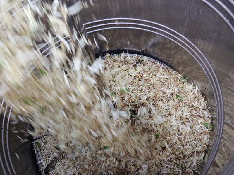 白玉兰精油产地货源蒸馏提取初级加工香料批发