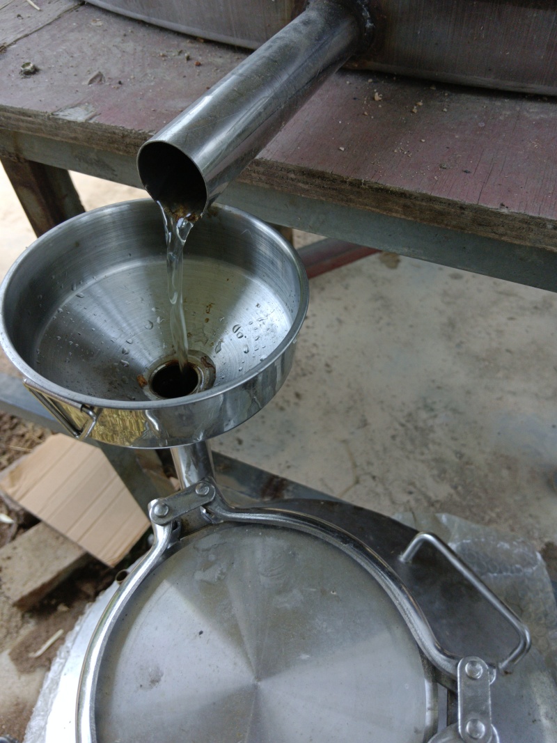 白玉兰精油产地货源蒸馏提取初级加工香料批发