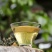 2026年春茶邦东古树普洱茶