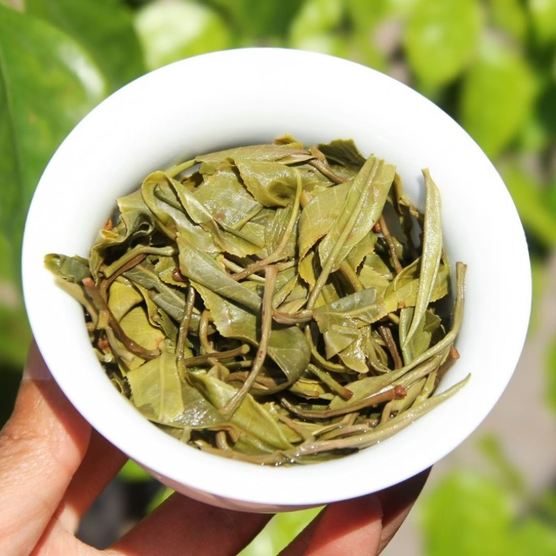 2026年春茶邦东古树普洱茶