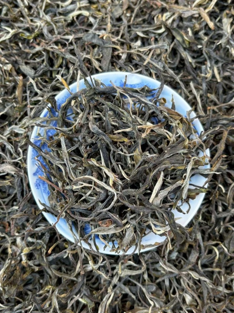 2026年春茶邦东古树普洱茶