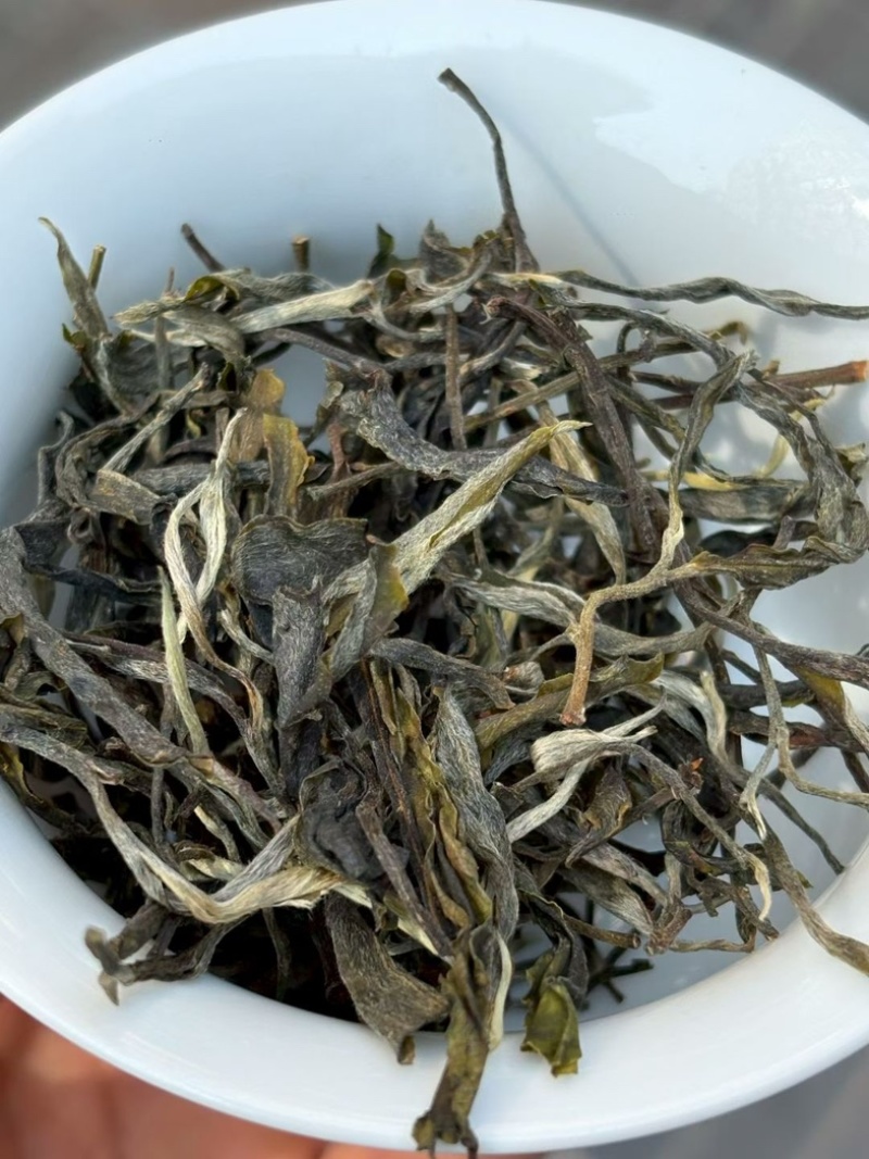 2026年春茶邦东古树普洱茶