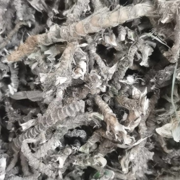 大别山纯野生石菖蒲，纯生态***有机好药。