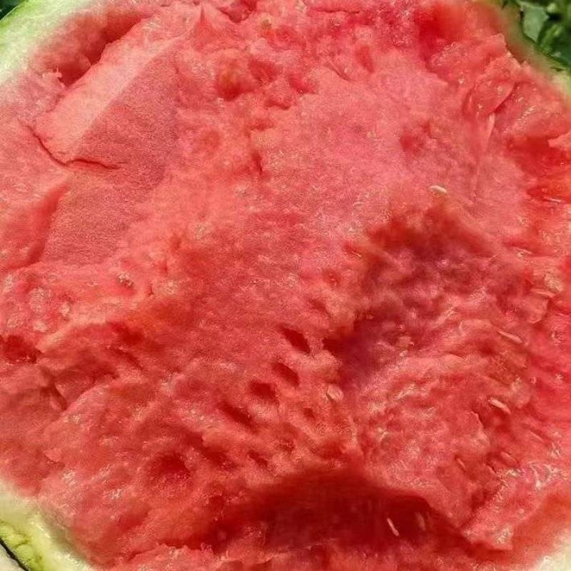 夏邑无籽西瓜美都麒麟品种齐全对接商超团购电商一条龙服务