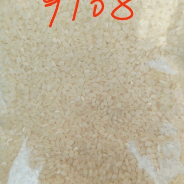 当季新米南粳9108，大米中的“战斗机”
