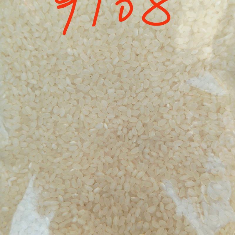 当季新米南粳9108，大米中的“战斗机”