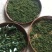 广西木姜子山胡椒云南山苍籽贵州木姜子酱香料现摘现发新鲜木