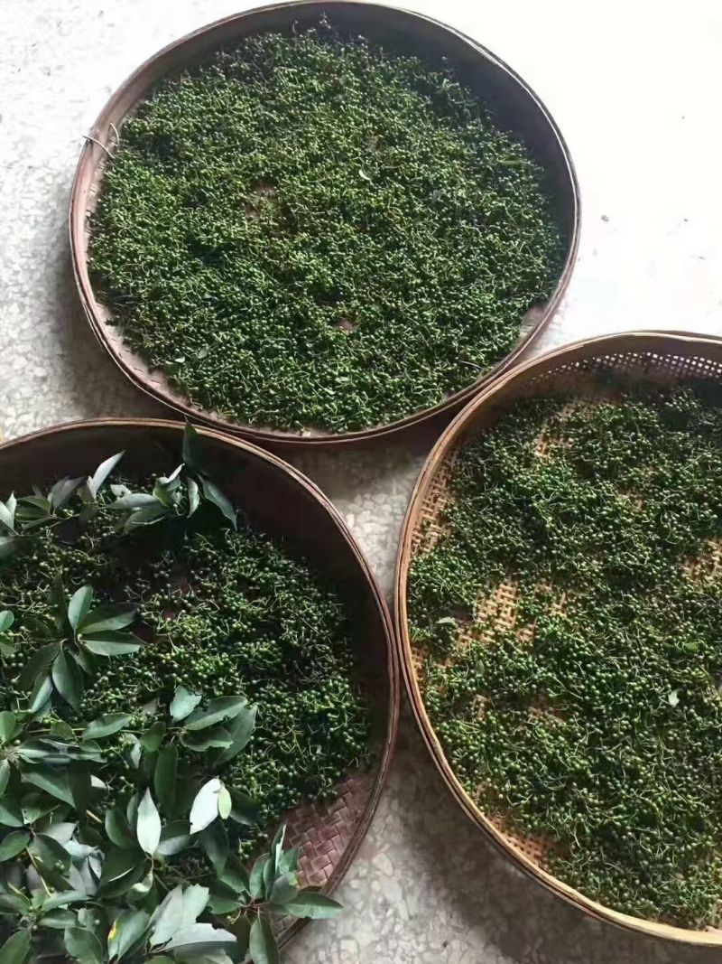 广西木姜子山胡椒云南山苍籽贵州木姜子酱香料现摘现发新鲜木