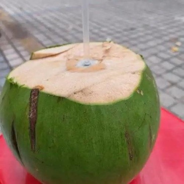 海南椰子代发自有档口代发代卖全国欢迎老板联系