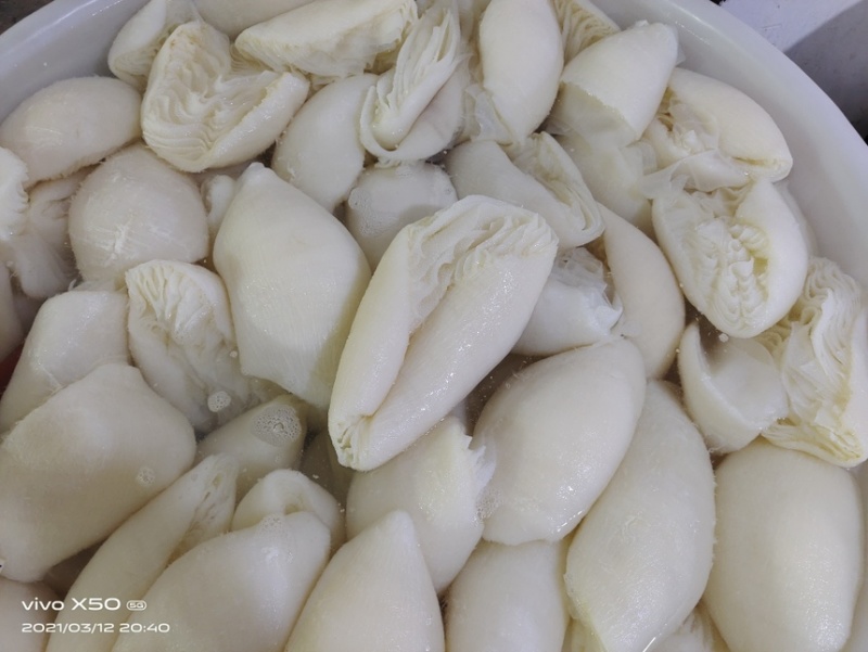 新鲜百叶茶毛肚茶香味美脆爽无渣高品质火锅食材